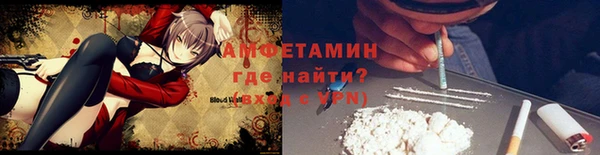 PSILOCYBIN Рославль