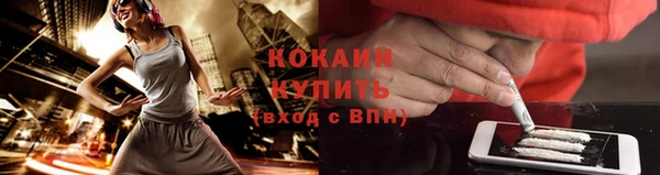 PSILOCYBIN Рославль