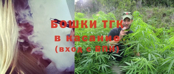 PSILOCYBIN Рославль