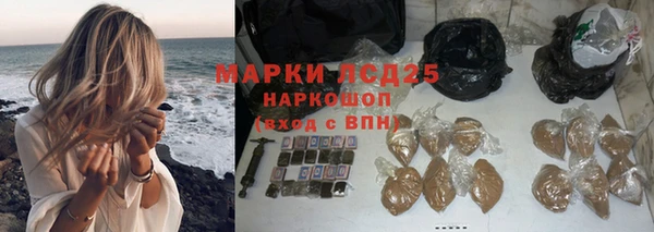 PSILOCYBIN Рославль