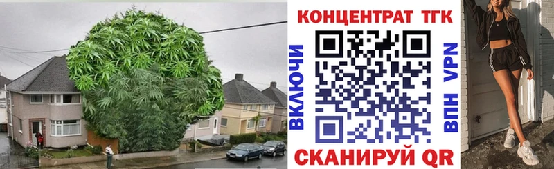 Дистиллят ТГК гашишное масло  Купить закладки  Алатырь 