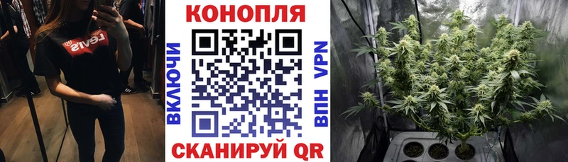 Купить  Алатырь  Шишки марихуана семена 